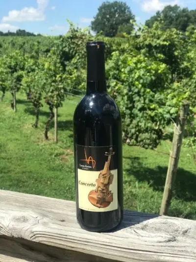 Sweet: Concerto: Tart Sweet CHERRY BOMB!