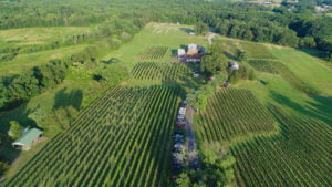Lake Anna Winery Aerial Photo